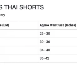 Punch Equipment Apparel Punch Siam Muay Thai Shorts
